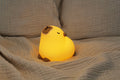 Capybara nachtlampje