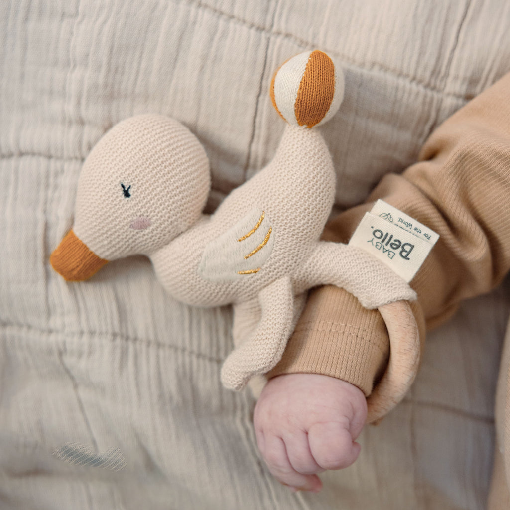 Dacy the Duck - Rammelaar