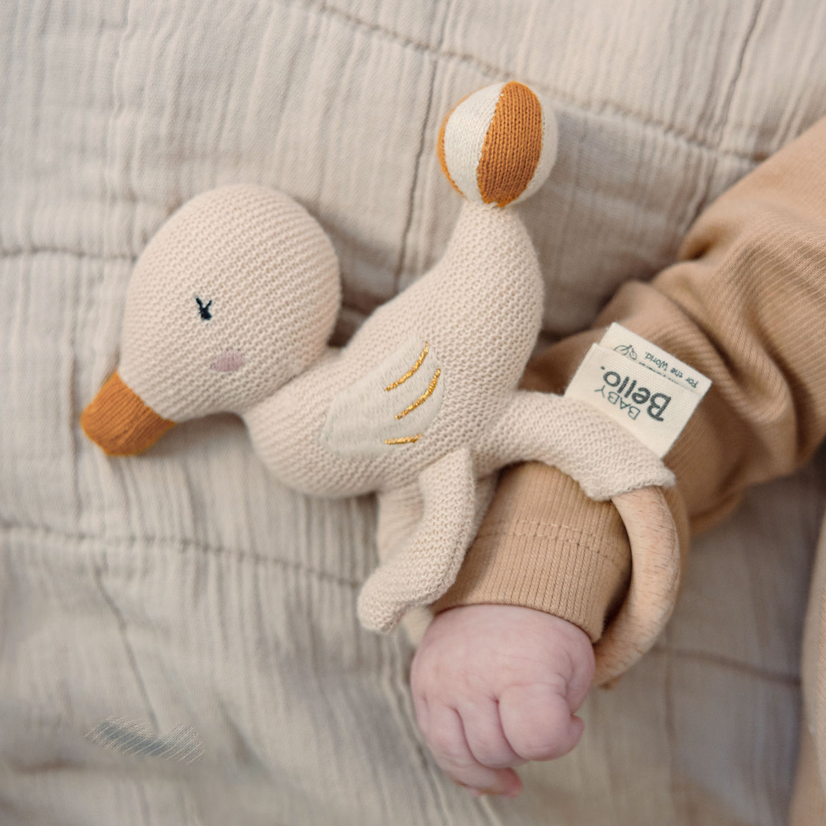 Dacy the Duck - Rammelaar